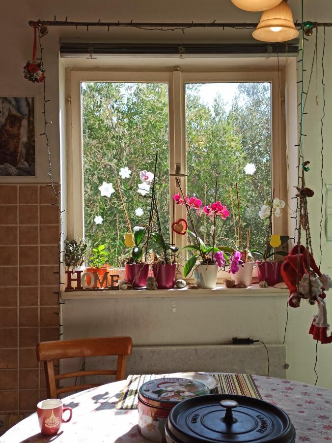 Appartement Maslinov Hlad à Barbat na Rabu Extérieur photo